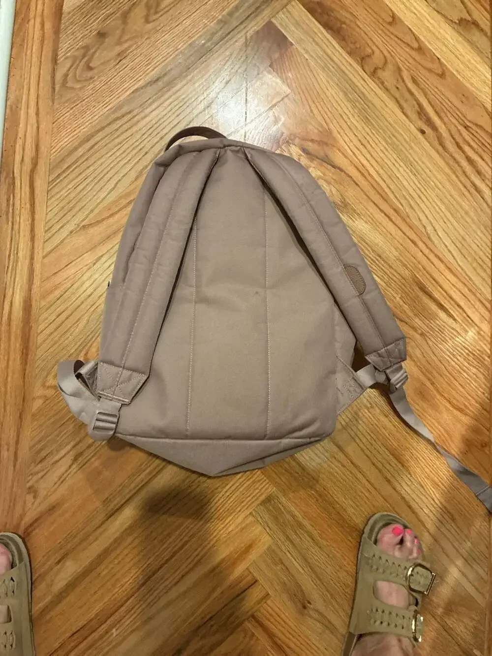 Herschel Supply Co. Classic Backpack Ash Rose Taupe